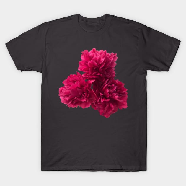 Hot Pink Peony Trio Close-up T-Shirt by InalterataArt